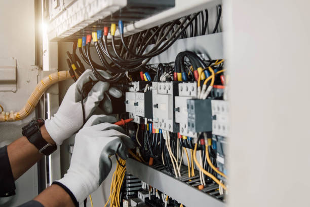 Best Electric Panel Repair  in Belvidere, IL